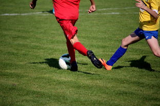 NBA球员训练计划优化设计，nba运动员训练计划