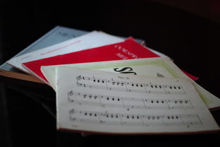 中小学体育课程内容优化实践，中小学体育课程一体化研究